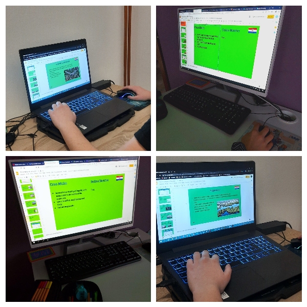 Wetlands in Croatia - presentation